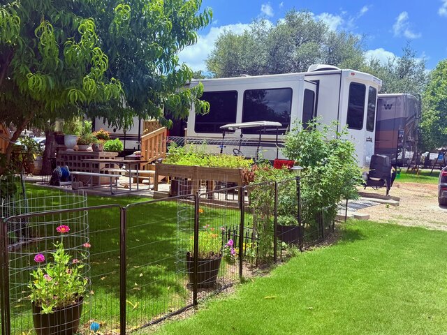 Image 2 for 06 Back in, Premium