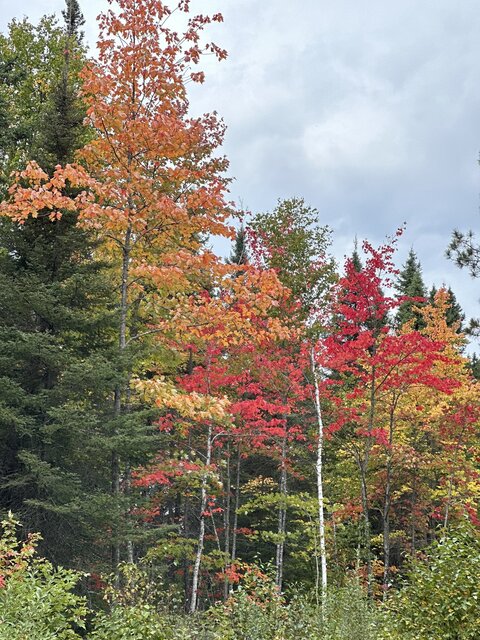 Image 1 for Fall Special 2 Bedroom Lake view