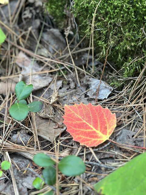 Image 1 for 3 Bedroom Fall special