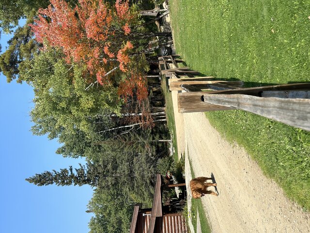 Image 1 for Historic Lodge Fall special