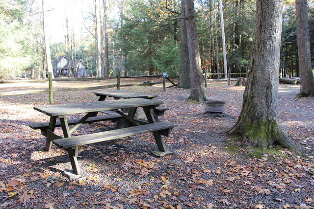 Image 22 for Cabin 2