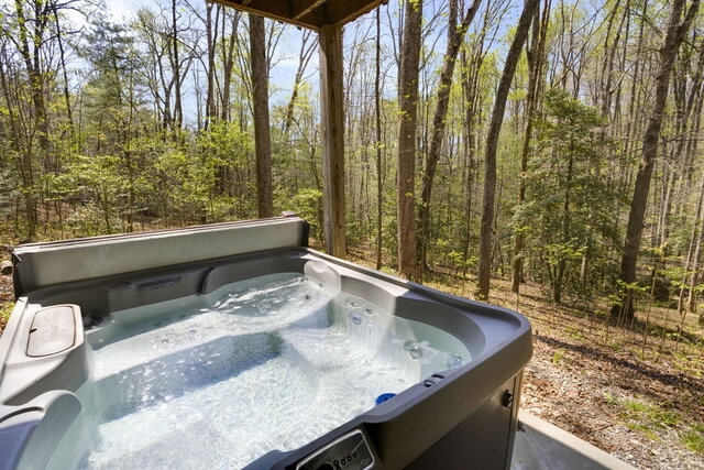 Image 3 for Dancing Creek