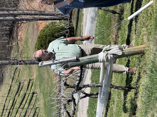 Image 1 for Luxe VIP Tour & Tasting
