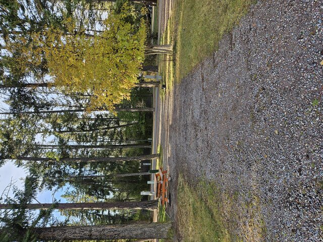 Image 2 for 008) pull through