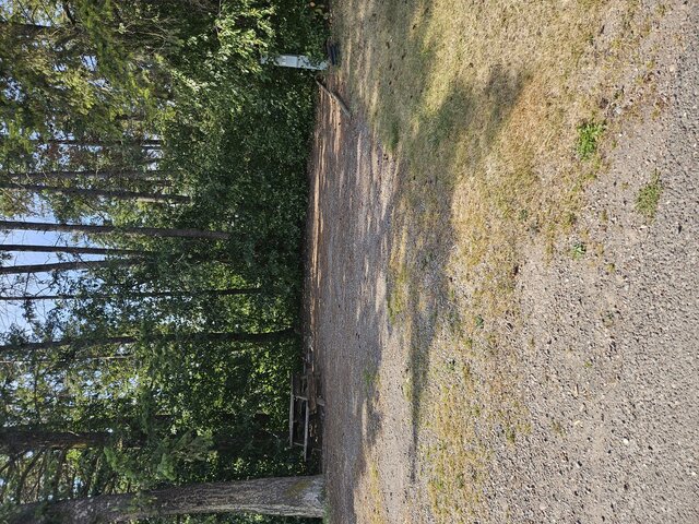 Image 1 for 011) back in