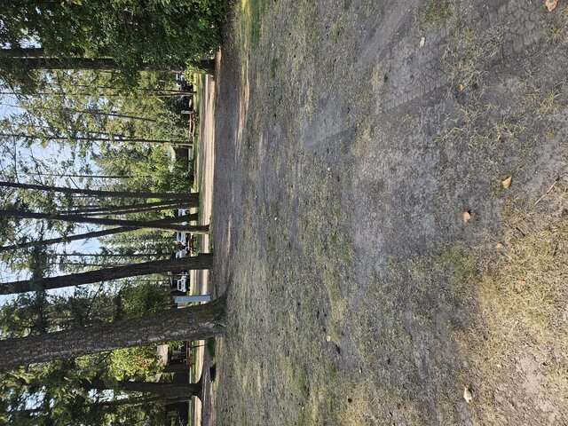 Image 2 for 005) pull through