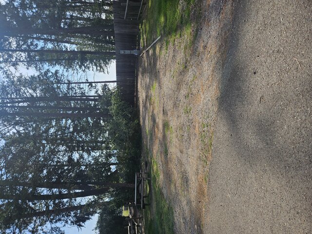 Image 1 for 014) back in