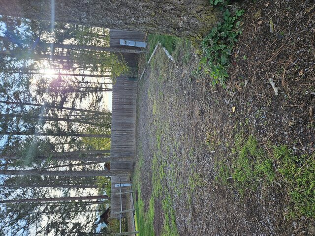 Image 2 for 015) back in