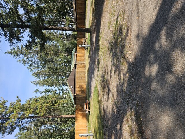 Image 1 for 031) back in