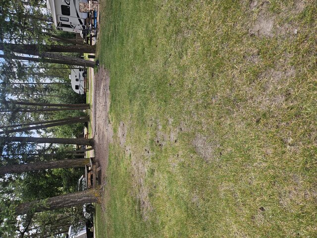 Image 2 for 006) pull through