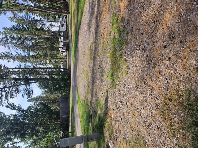 Image 2 for 027) back in