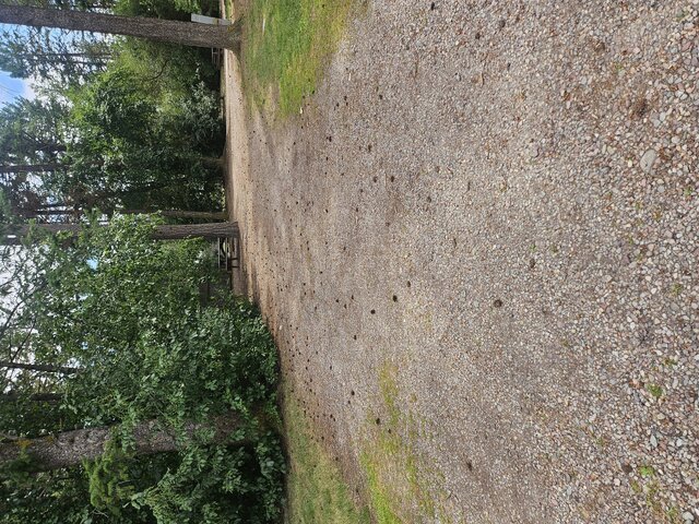 Image 2 for 010) pull through