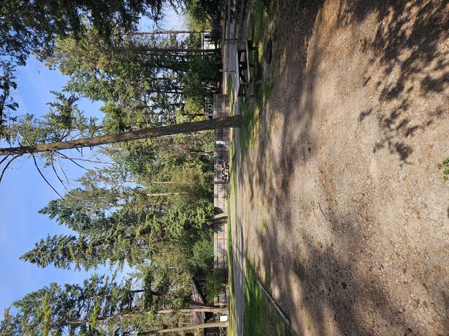 Image 2 for 014) back in