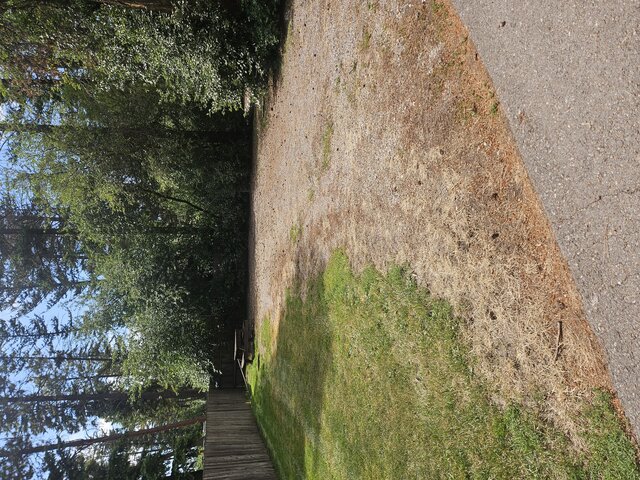 Image 1 for 026) back in