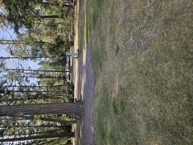 Image 2 for 007) pull through