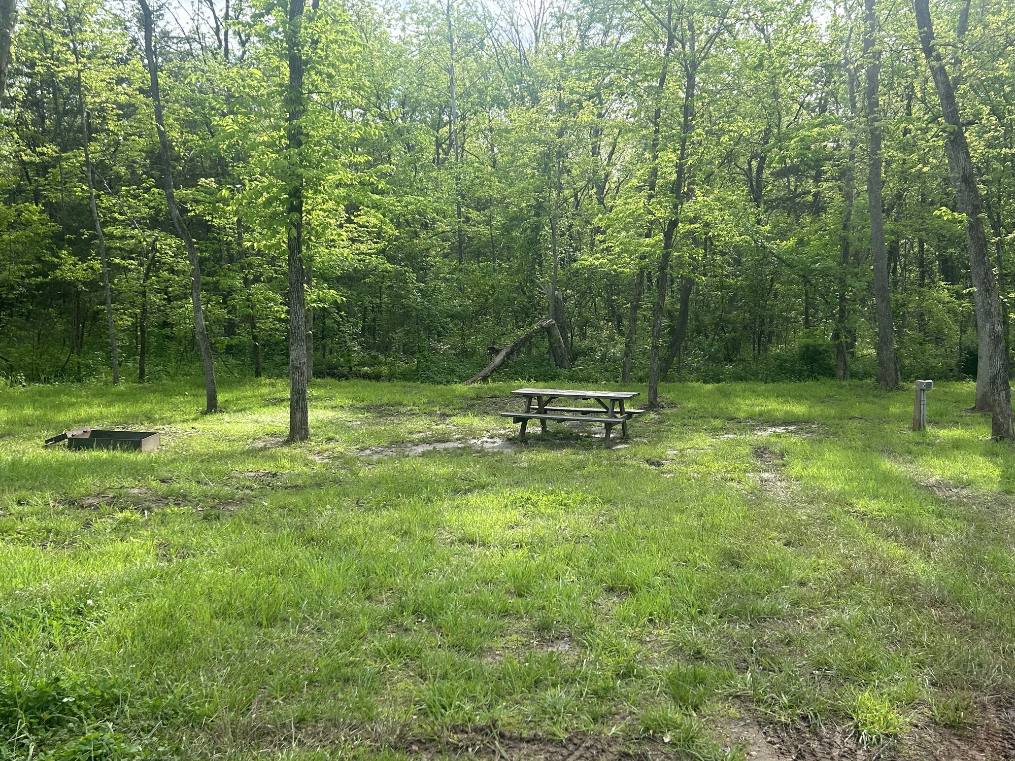 Image for T05 Tent site 5