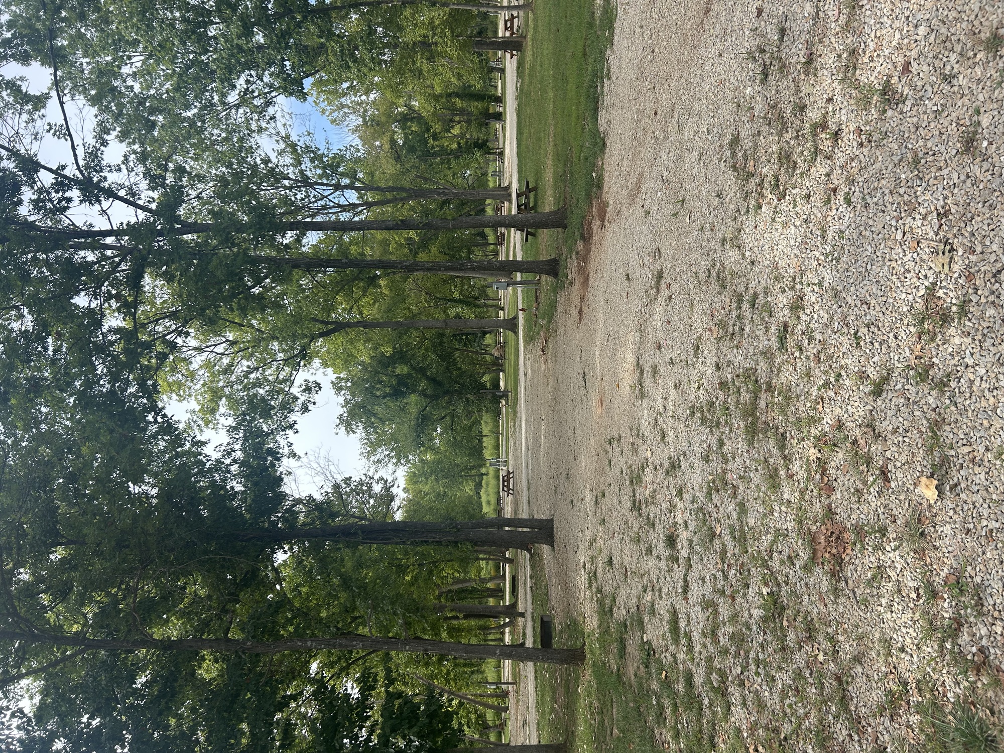 Image for 099 RV Site 99