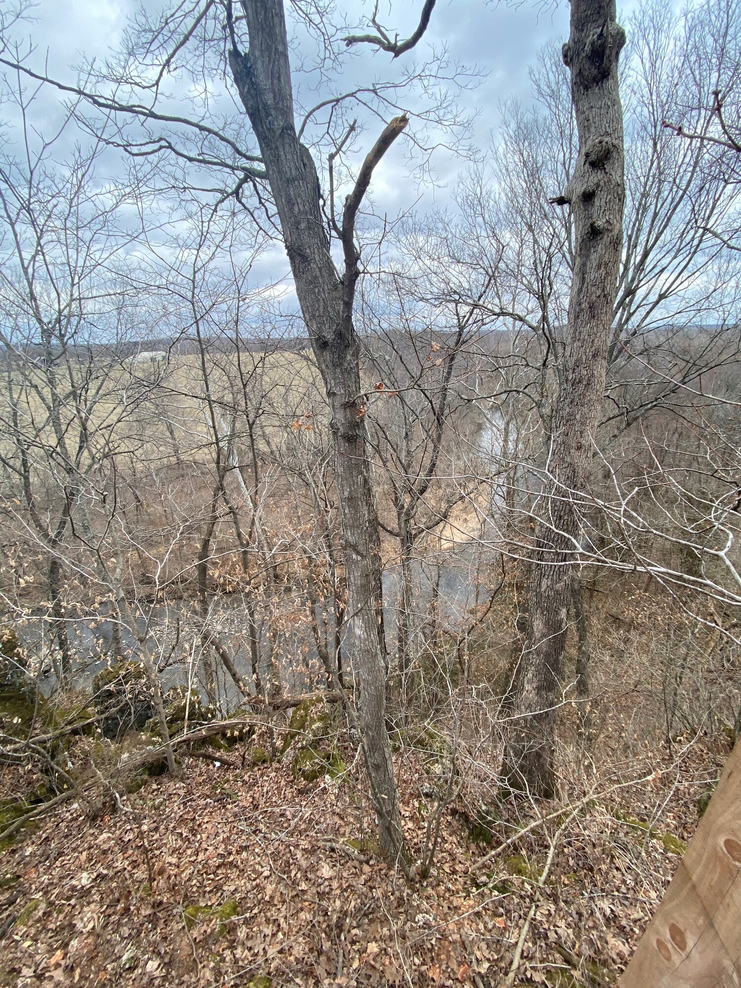 Image for Bluff Cabin 2