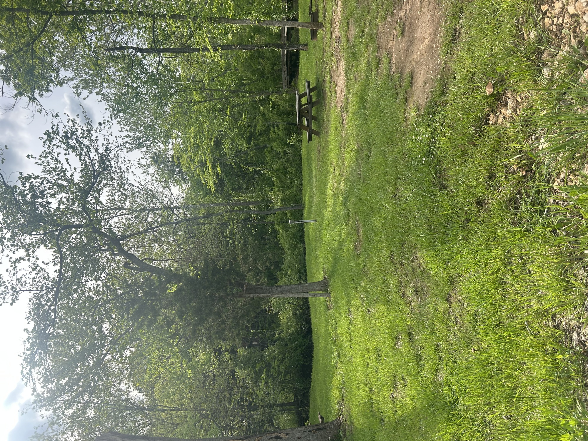 Image for T10 Tent site 10