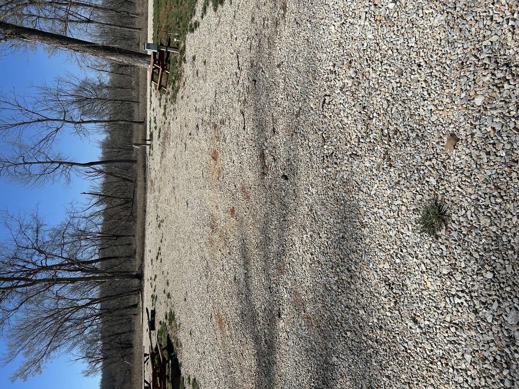 Image for 131 RV Site 131