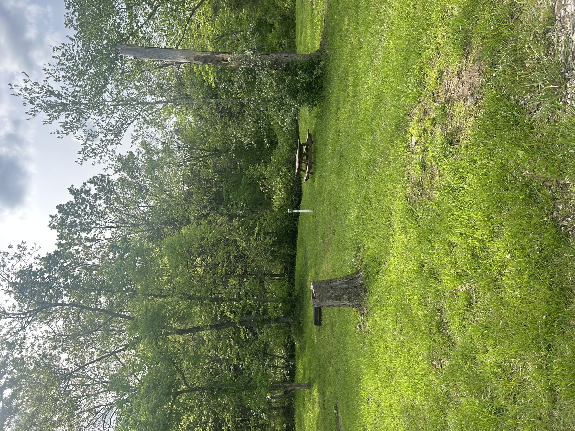 Image for T09 Tent site 9