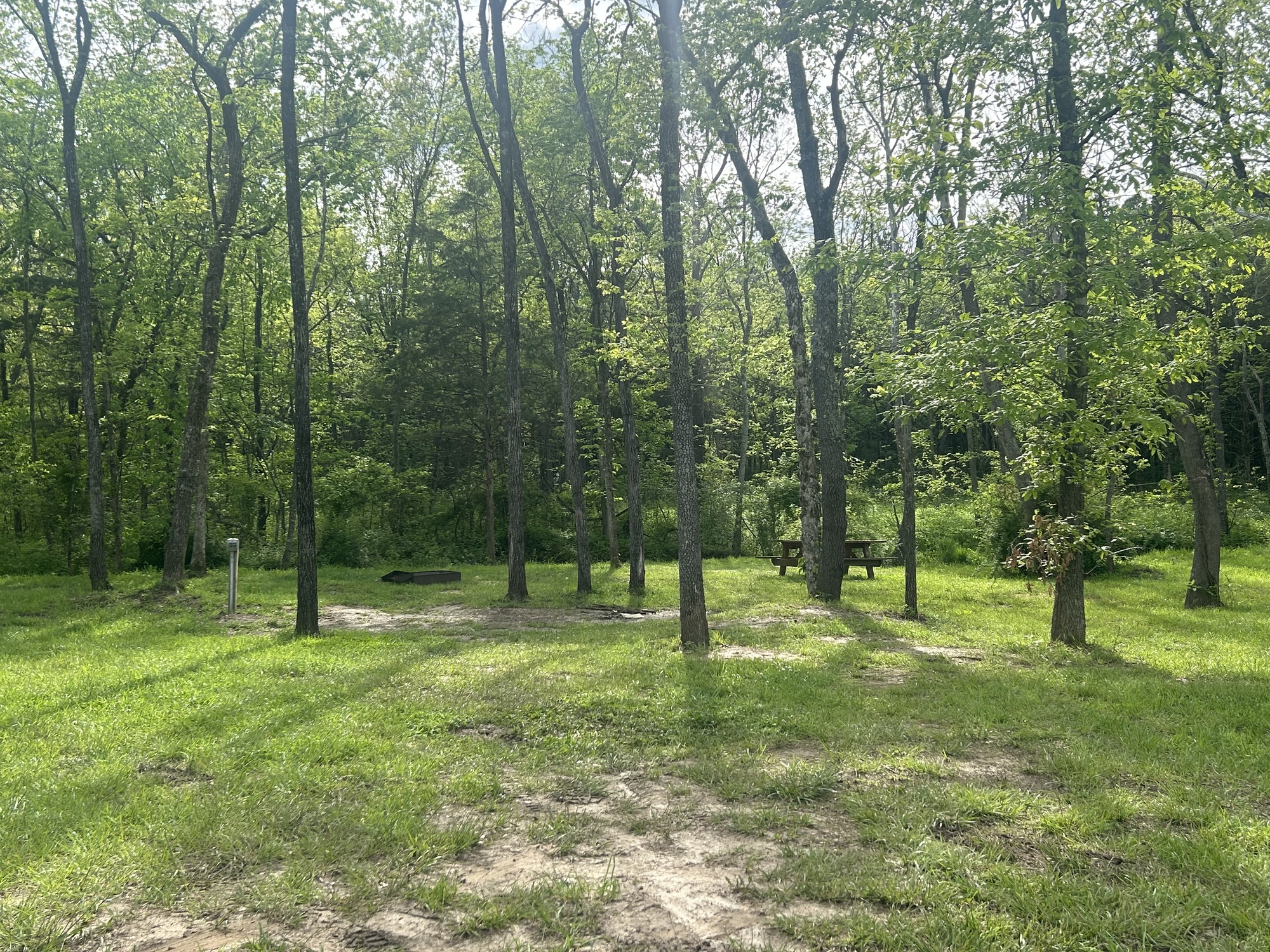 Image for T06 Tent site 6