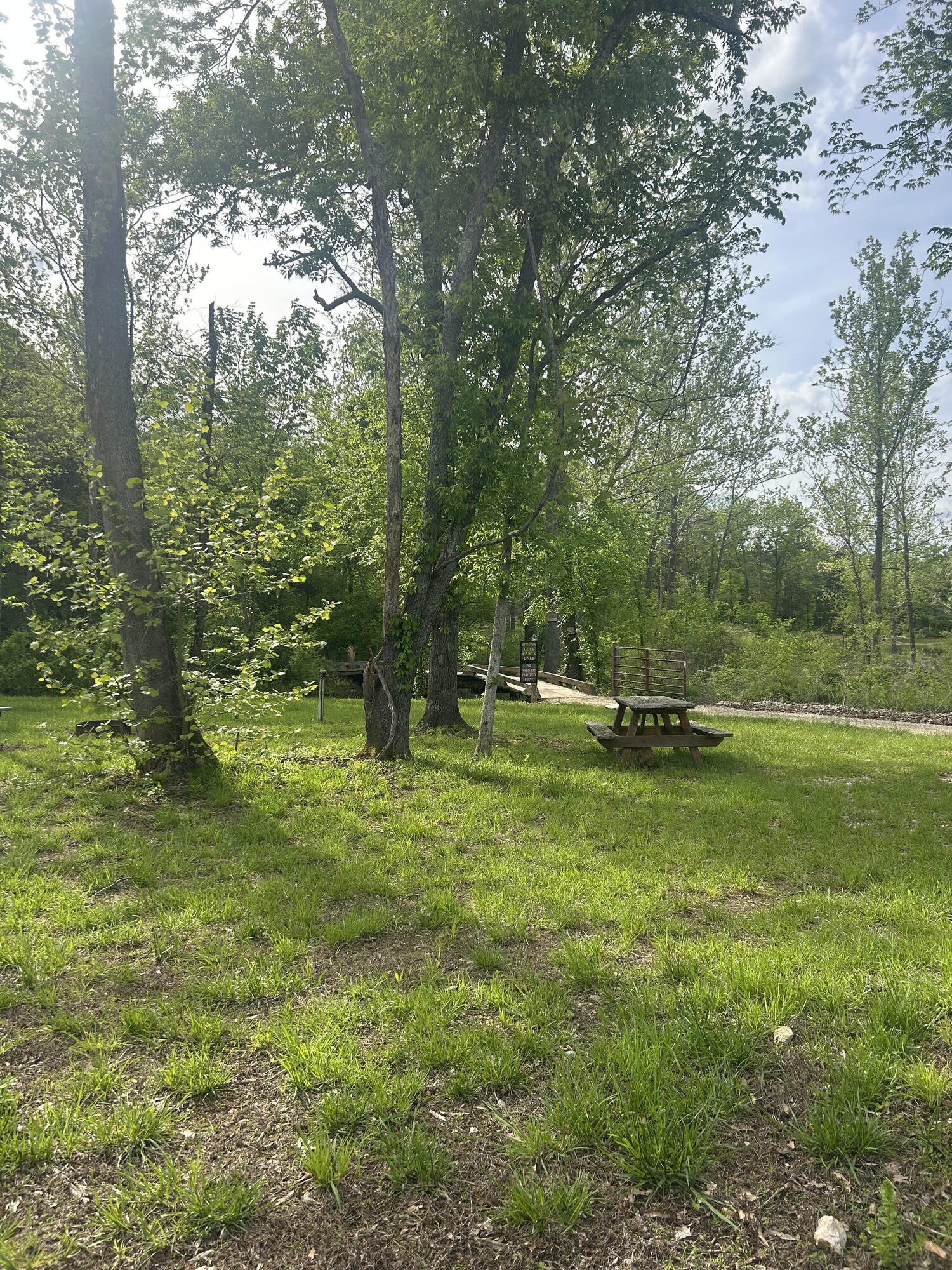 Image for T11 Tent site 11