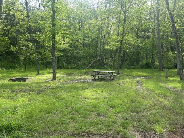 Image 1 for Tent site 5