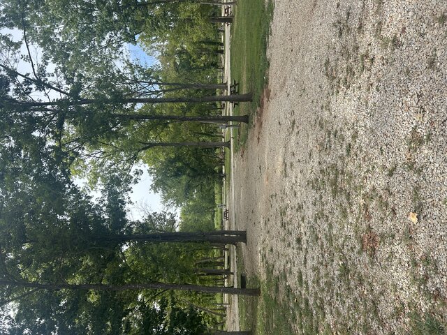 Image 1 for RV Site 99