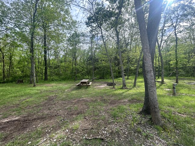 Image 1 for Tent site 4