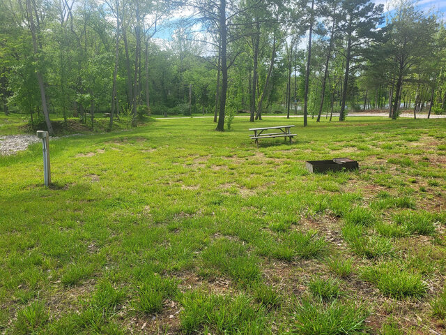 Image 1 for Tent site 13