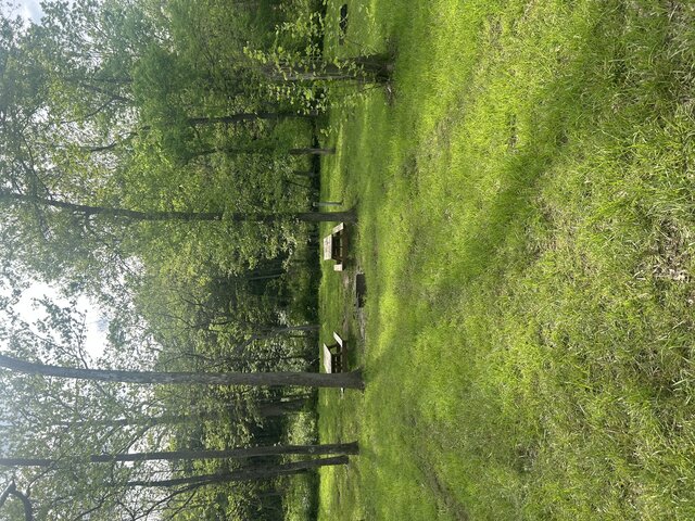 Image 1 for Tent site 8