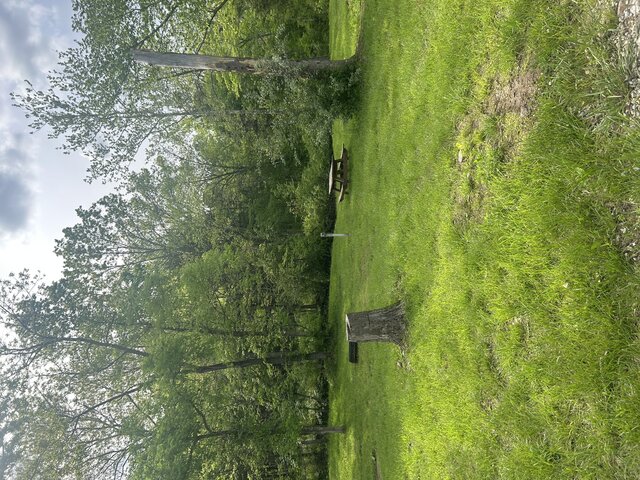 Image 1 for Tent site 9