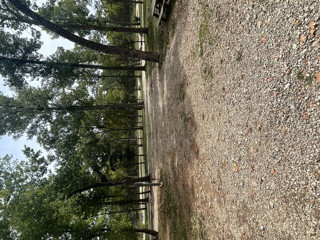 Image 1 for RV Site 113