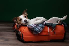 Image 1 for Add your Pet fee- Per pet