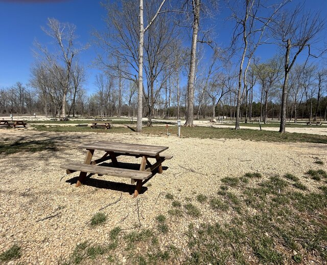 Image 2 for RV Site 128