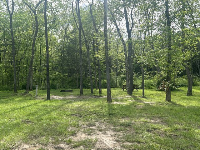 Image 1 for Tent site 6