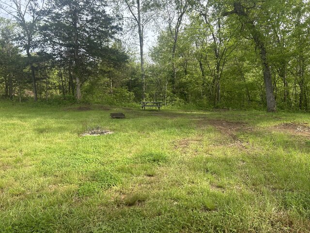 Image 1 for Tent site 2