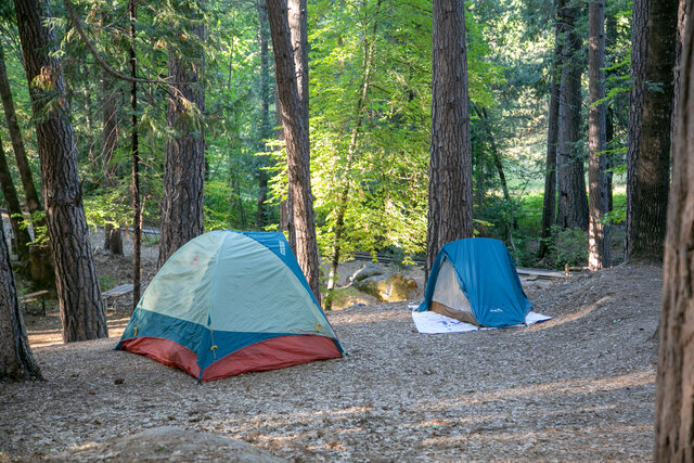 Image 4 for T-32 Tent Site