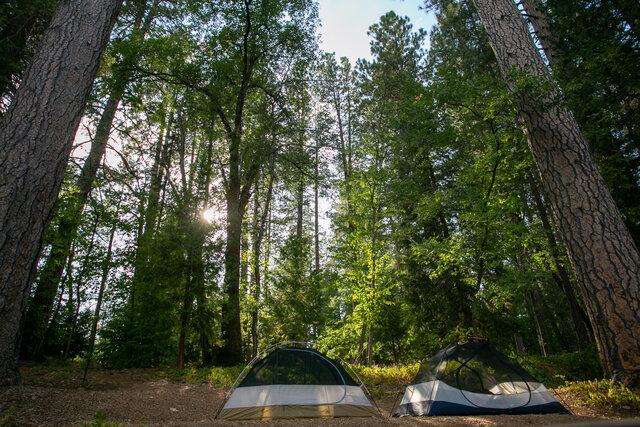 Image 5 for T-21  Tent Site