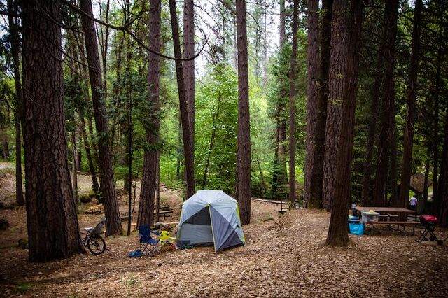 Image 6 for T-32 Tent Site