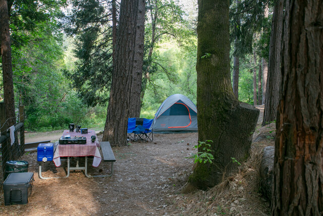 Image 3 for T-28 Tent Site