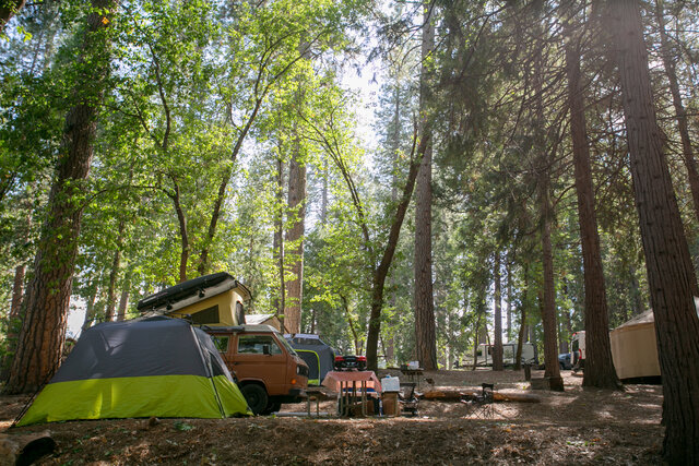 Image 2 for T-29 Tent Site