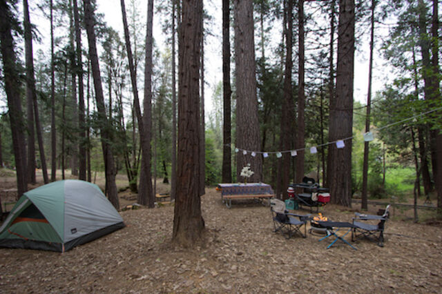 Image 11 for T-32 Tent Site