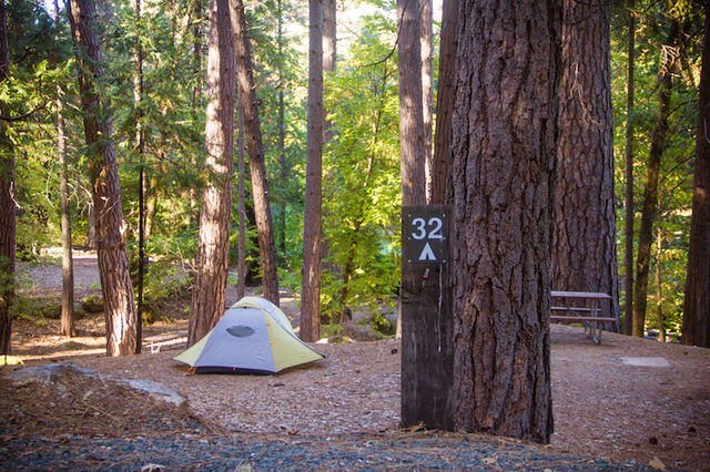 Image 7 for T-32 Tent Site