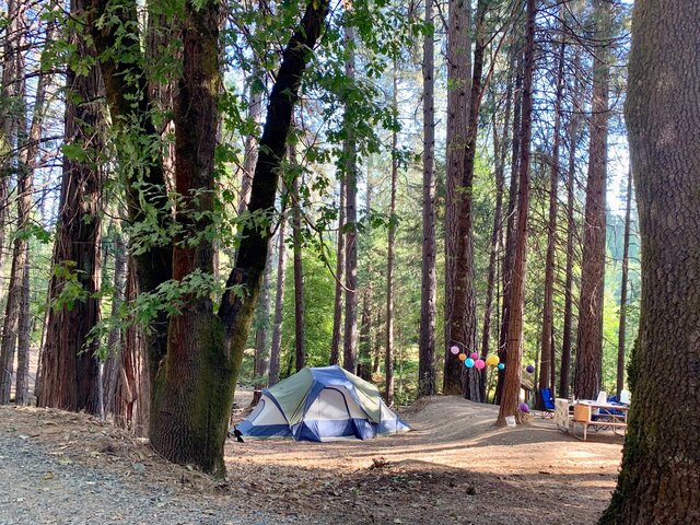 Image 3 for T-32 Tent Site