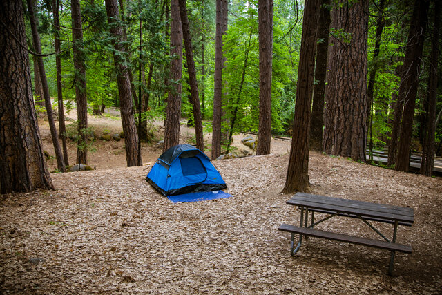 Image 2 for T-32 Tent Site