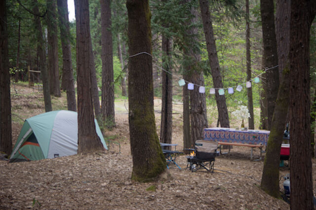 Image 8 for T-32 Tent Site