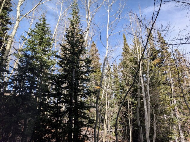 Image 17 for Brian Head