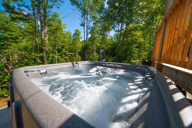 Image 10 for The Tulip Suite